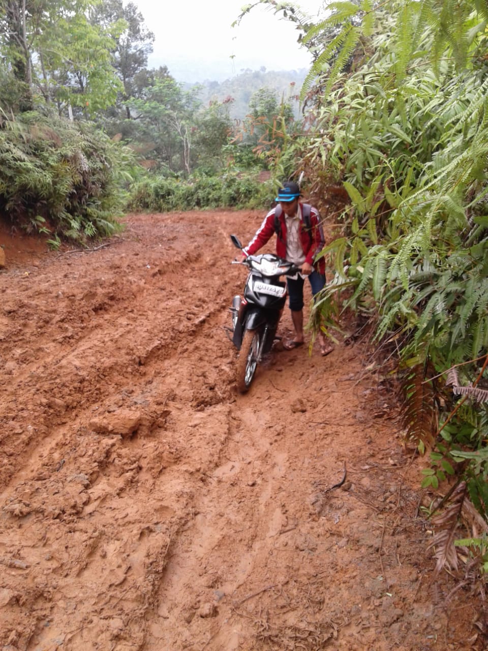Jalan Masih Tanah, Guru Honorer Minta Perhatian Pemerintah