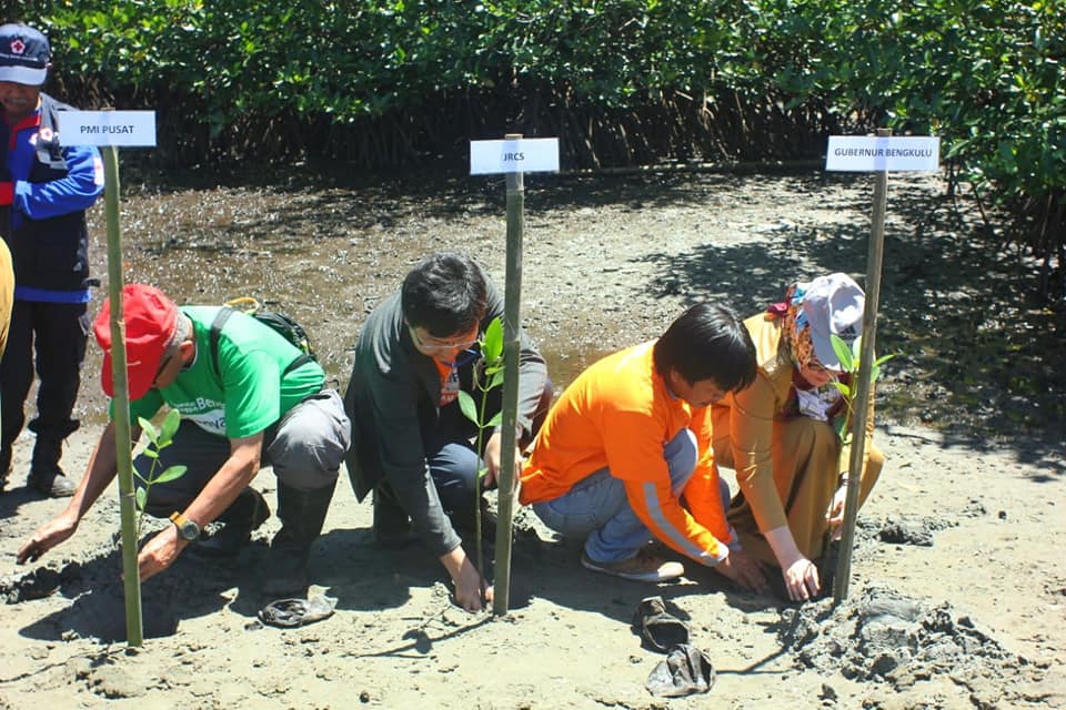Kurangi Resiko Bencana, PMI Dirikan Mangrove Education Center