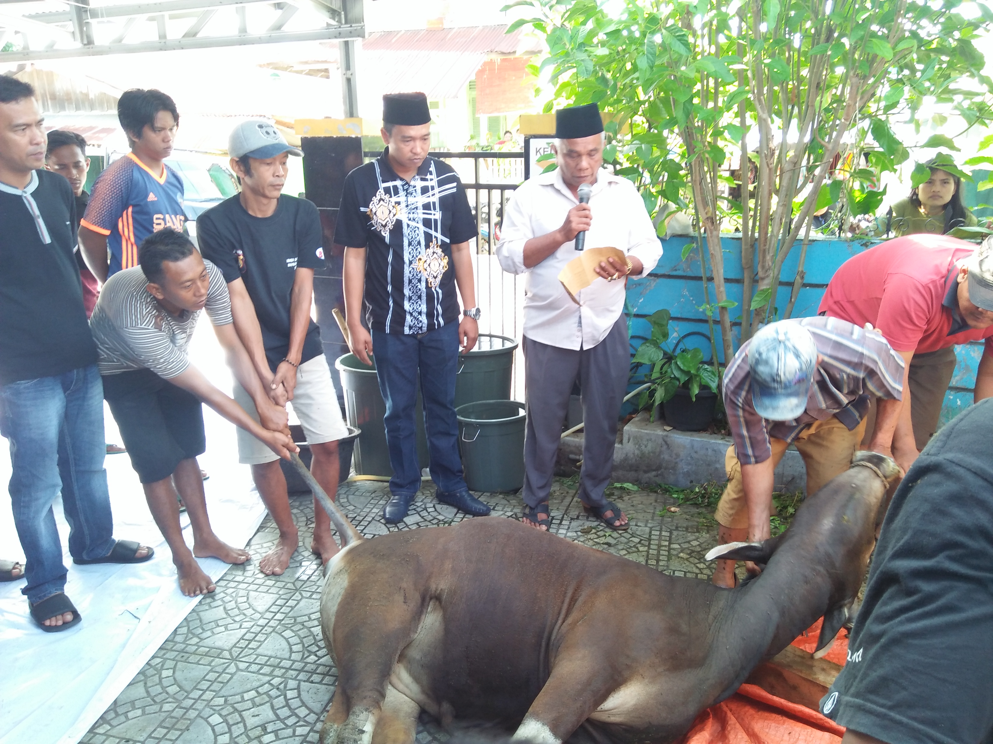 Idul Adha, Wahyu Manuma Utama Qurban Dirumah