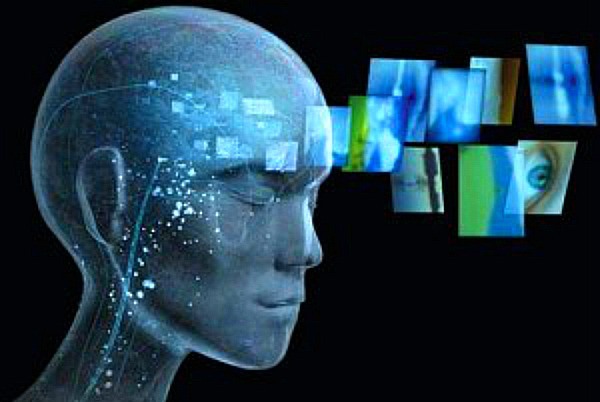 Teori, Konsep dan Realitas Kehidupan 