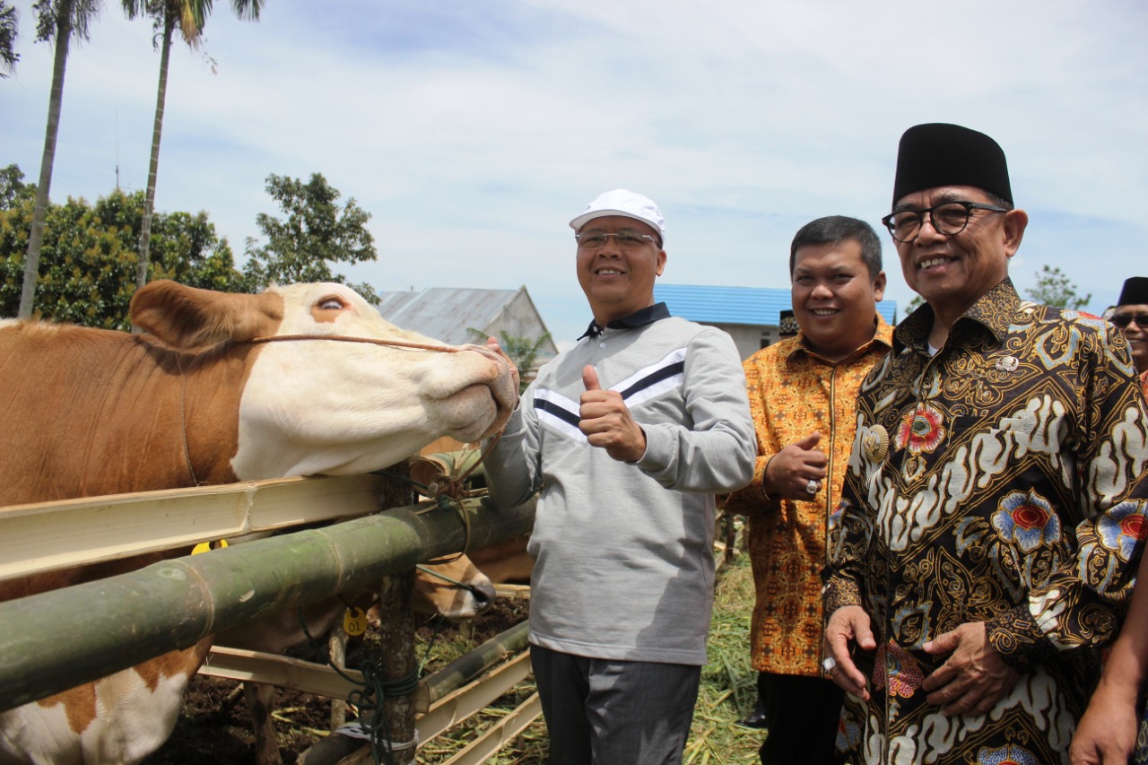 Didukung Penuh Bupati Kepahiang, Mountain Valley Festival 2018 Sukses