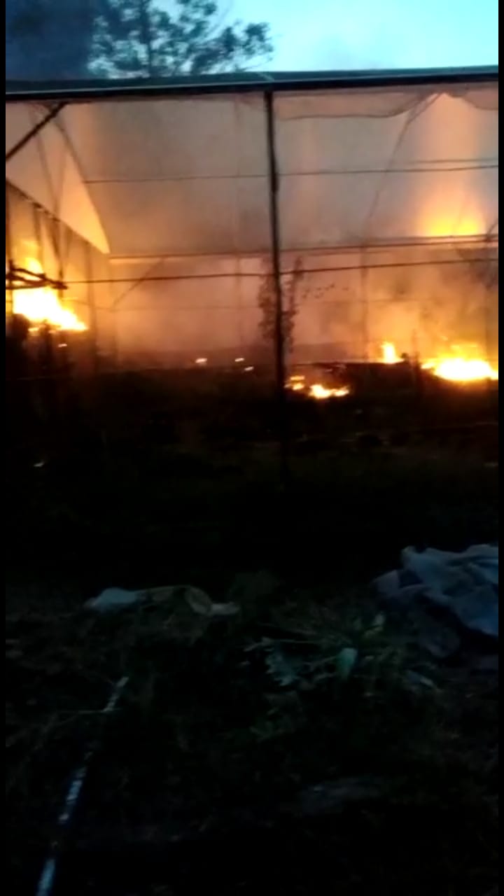 Akibat Bakar Sampah, Lahan Laboratorium UNIB Terbakar