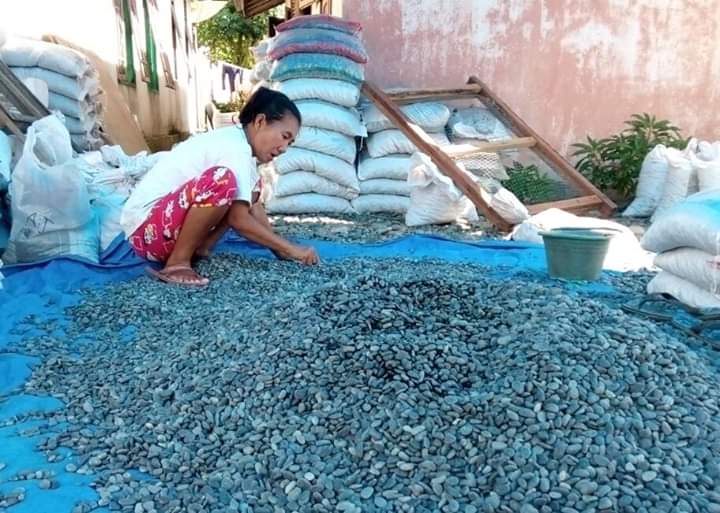 Pemkab Bengkulu Selatan Dorong Optimalisasi BUMDes