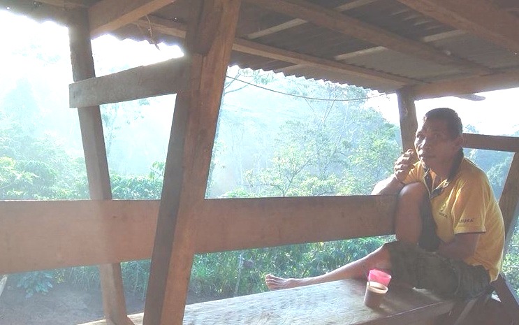 Mem-Pilarkan Harap di Puncak Bukit Daun