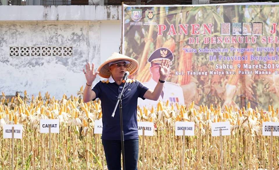 Program Jagung Mampu Tingkatkan Ekonomi Masyarakat