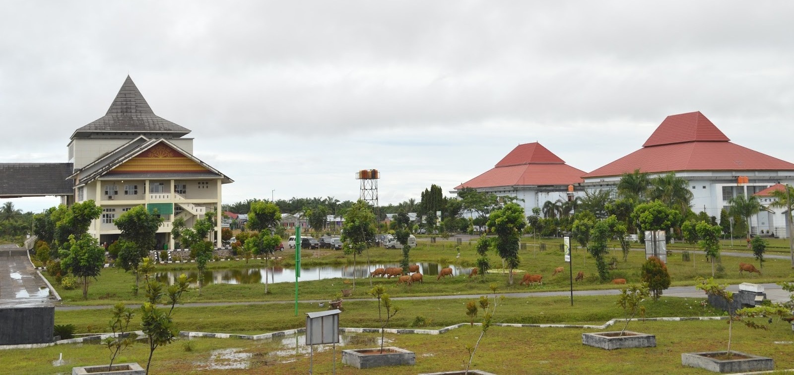 Mukomuko Akan Segera Miliki Ruang Terbuka Hijau