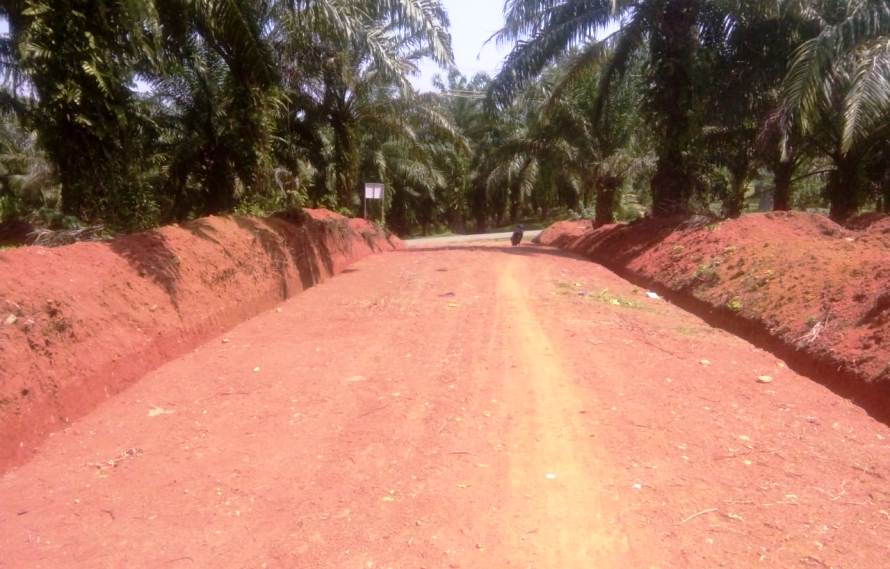 Melalui DD dan ADD, Inilah Program Desa Padang Pandan