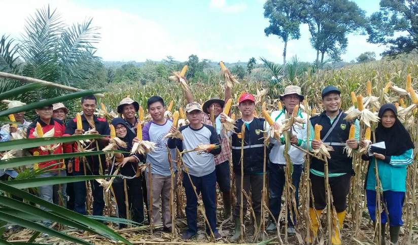 Petani Kedurang Sukses Manfaatkan Lahan Kering Perhutani
