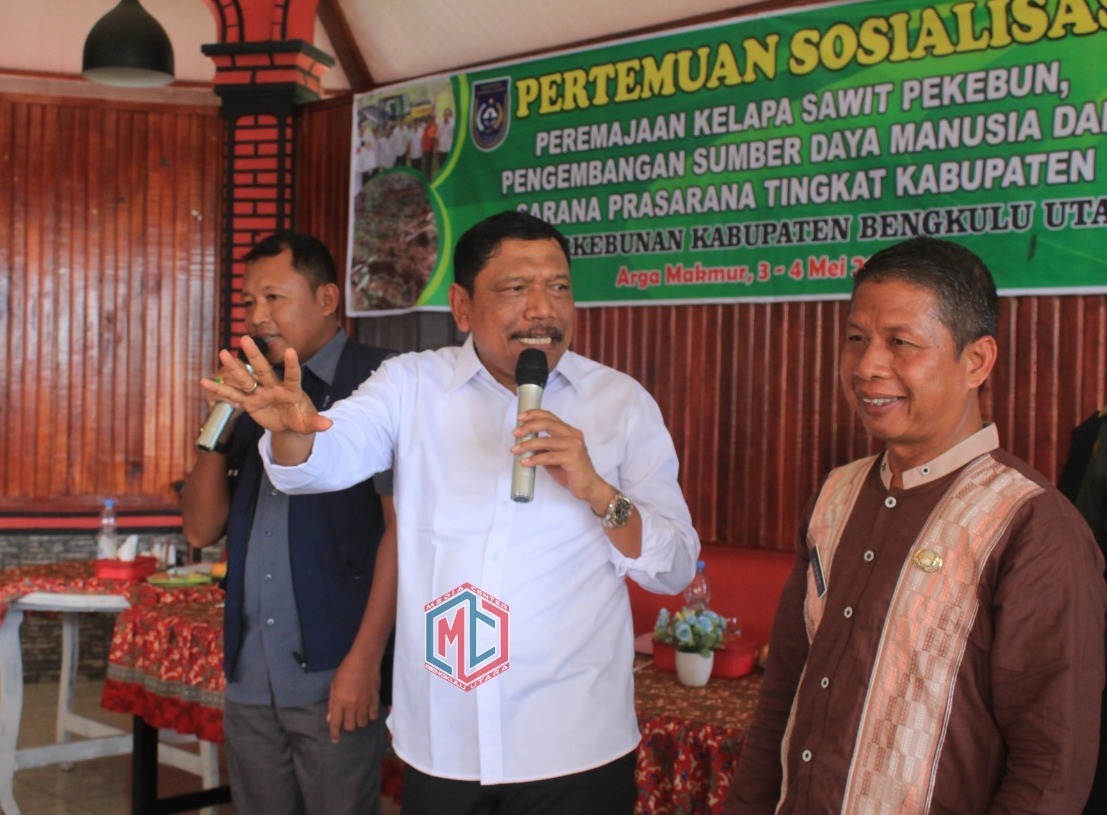 Pemkab BU Targetkan 3581 Hektare Replanting Kelapa Sawit