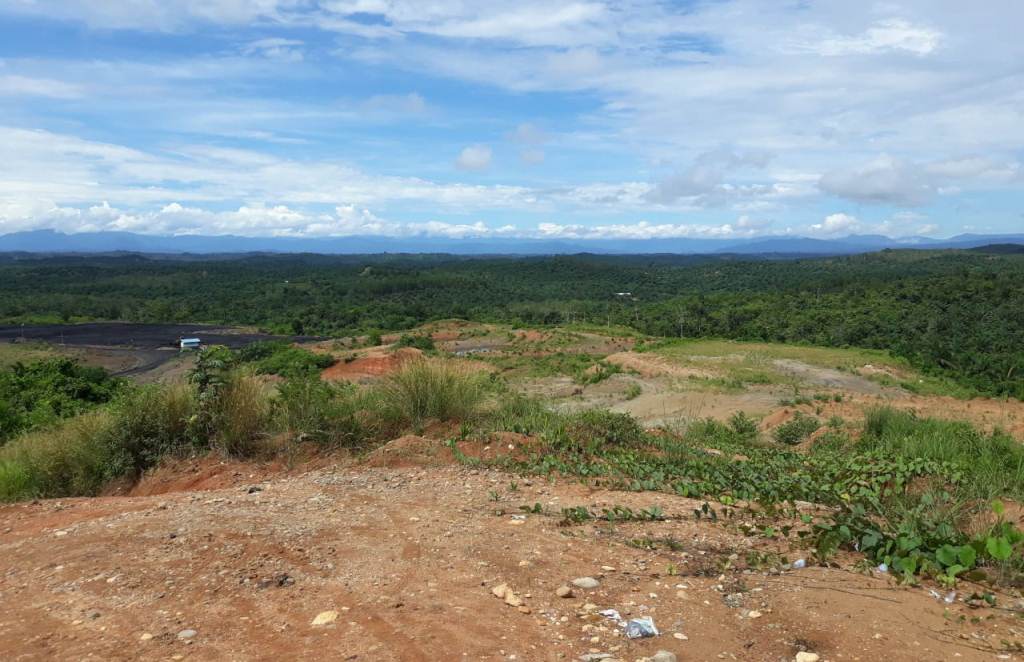 Tambang Batu Bara Terus Disorot, AAK Disebut Ilegal?