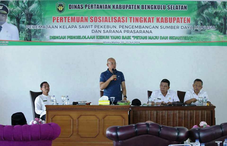 Pemkab BS Sosialisasi Replanting Kelapa Sawit