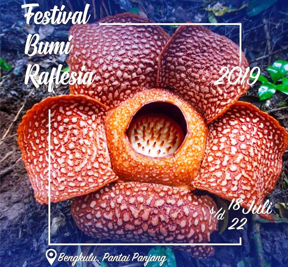 Wow, 6 Negara Akan Meriahkan Festival Bumi Rafflesia di Bengkulu