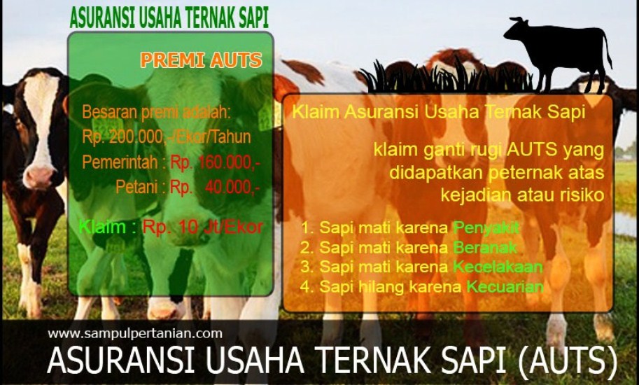 Program AUTS Dorong Semangat Peternak