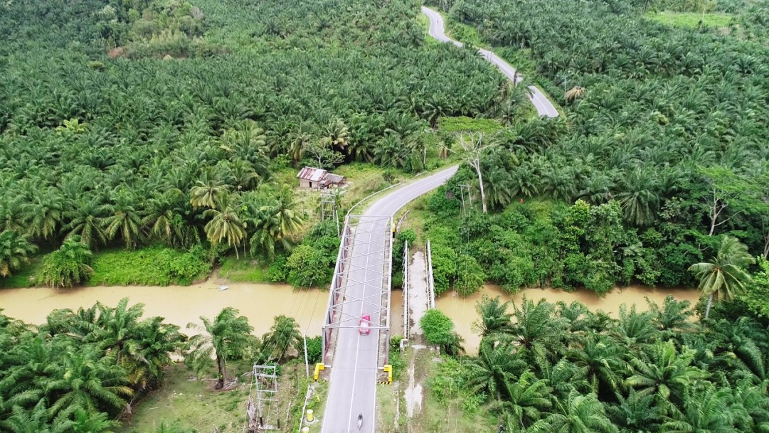 Distan Bengkulu Selatan Rancang Tim Koordinasi Pengawas Perkebunan