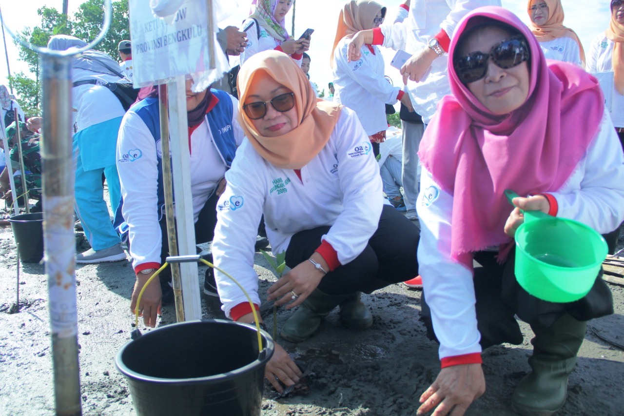 Tanam Mangrove, Upaya Selamatkan Bumi Dari Perubahan Iklim
