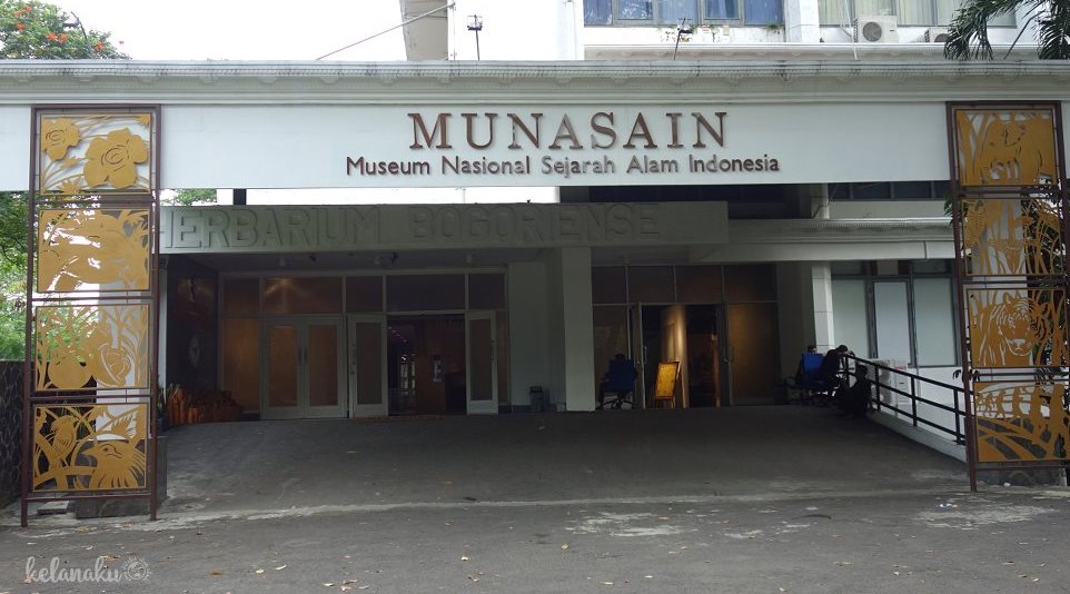 MUNASAIN Luncurkan Ruang Pamer Manusia dan Lingkungan