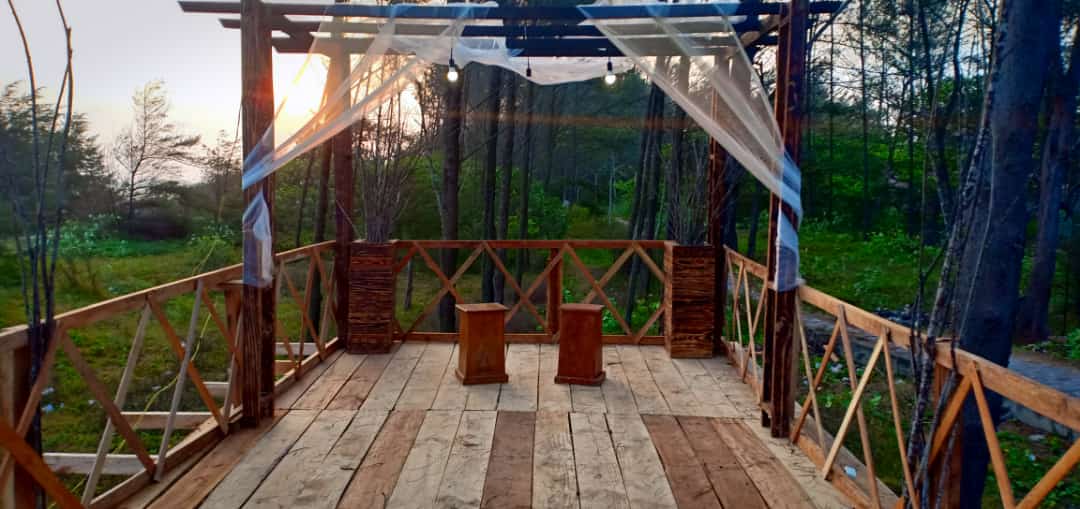 Rasakan Sensasi Makan di Atas Pohon di Seafood Tumpah