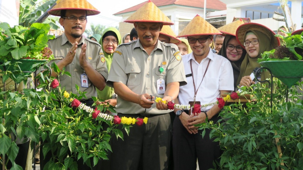 Launching OPAL, Halaman Kantor Sebagai Sumber Makanan Sehat