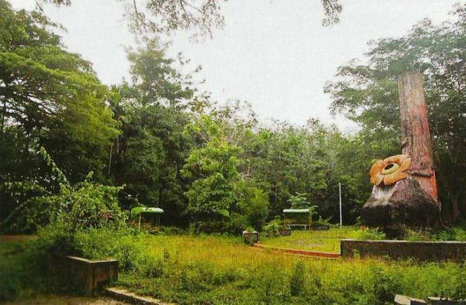 Garap Tahura, Pemkab Benteng Jalin Kerjasama dengan UNIB