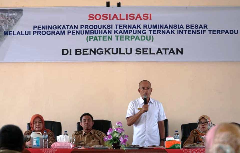 Bengkulu Selatan Akan Bentuk Kampung Ternak Intensif Terpadu