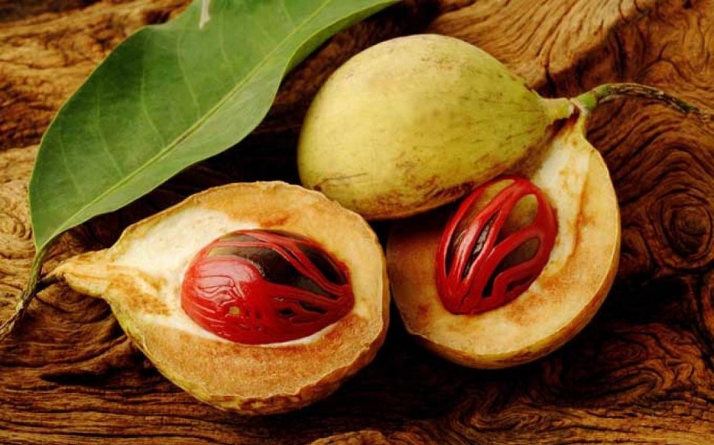 Buah “Emas” yang Diperebutkan Dunia