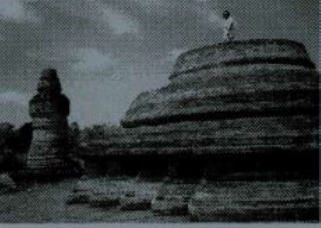 Membaca Kembali Sriwijaya yang Jaya itu