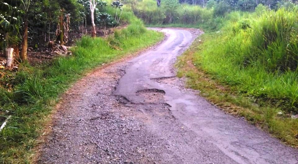 Warga Keluhkan Jalan Desa Rusak Parah