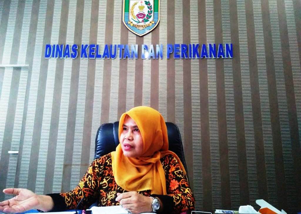 DKP Sebut Hasil Tangkapan Ikan Bengkulu Belum Penuhi Standar Ekspor