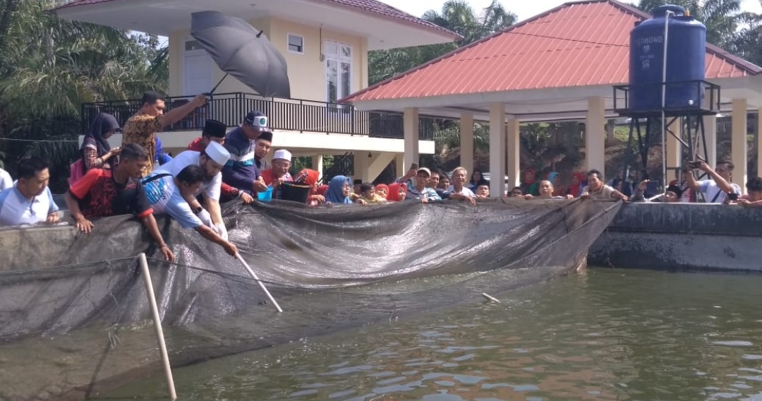DKP Kota Bengkulu Panen Perdana Program Sejuta Ikan