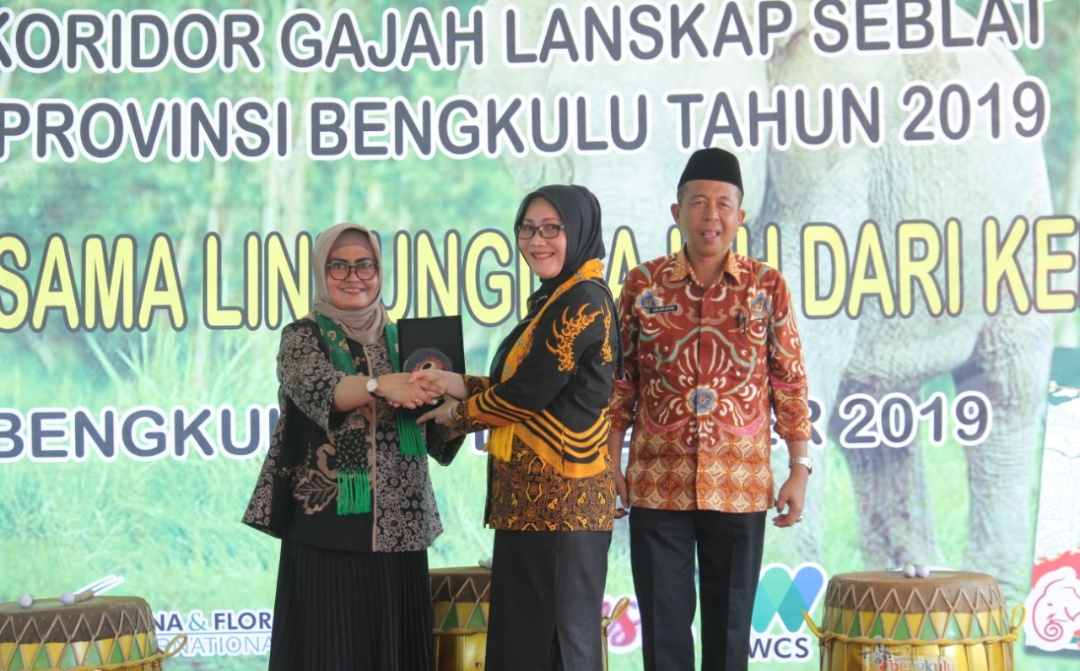 Pemprov Bengkulu Launching Kawasan Ekosistem Essensial Gajah Sumatera