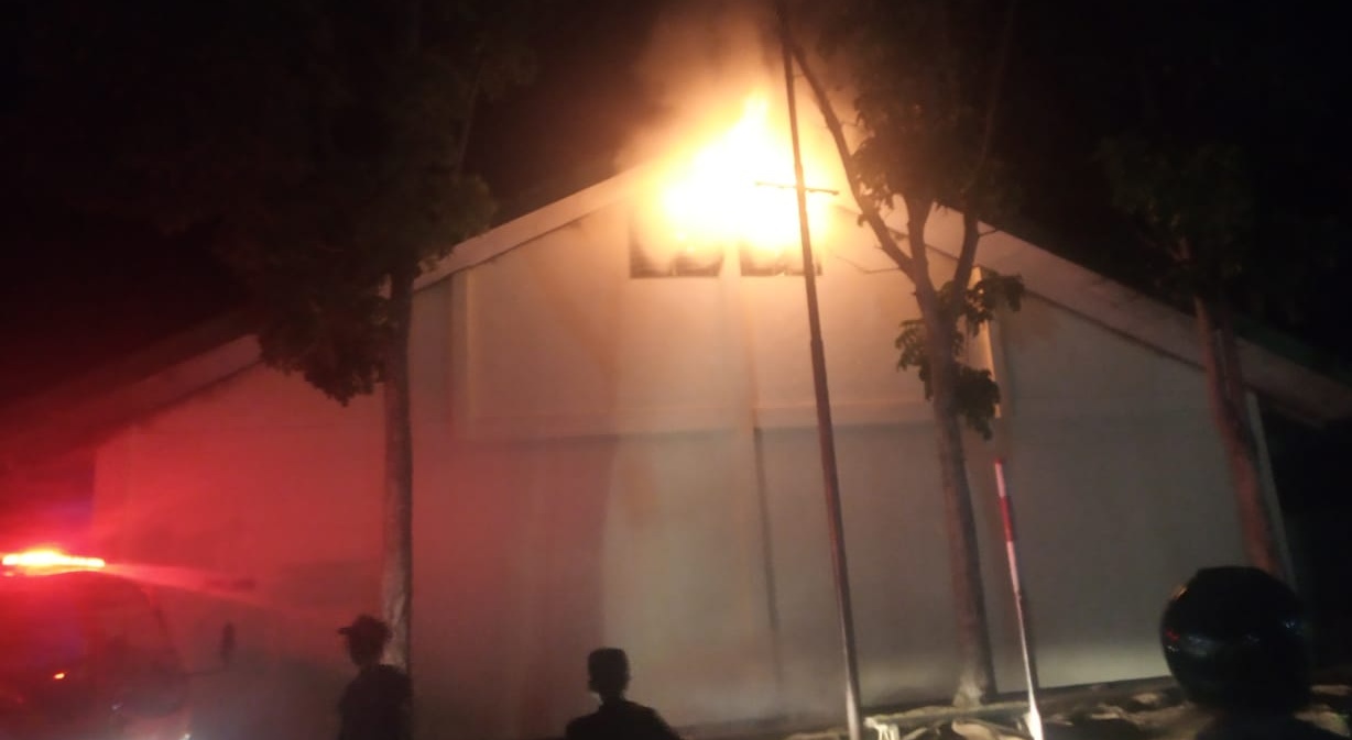 Si Jago Merah Kembali Mengamuk di Bengkulu Utara