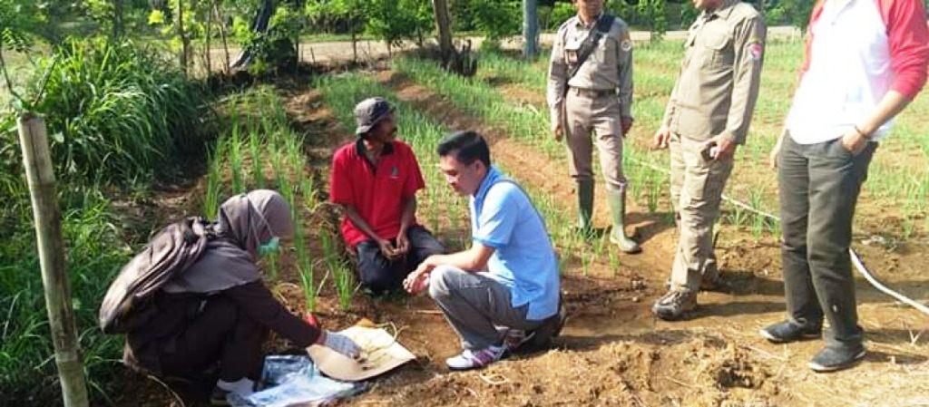 2020 Mendatang, Distan Mukomuko akan Rekrut Penyuluh Swadaya