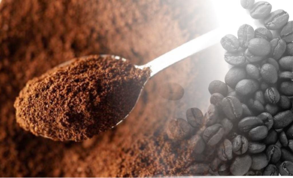 Kopi Bengkulu Mendunia