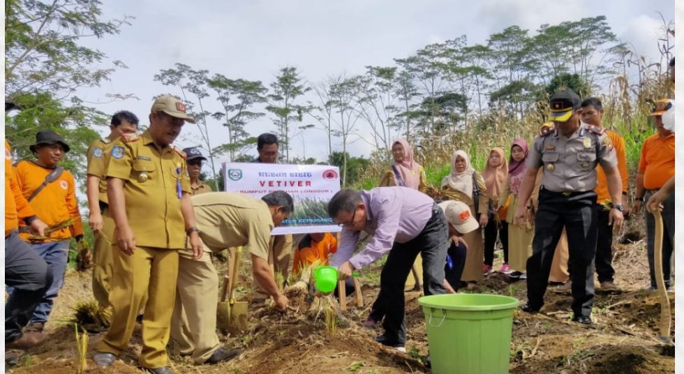 Cegah Longsor, Bupati Hidayat Tanam Bibit Vetiver