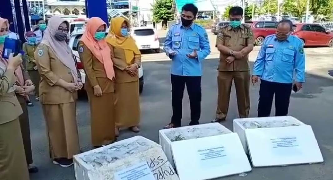 DKP Kota Bengkulu Salurkan Ikan Segar untuk Tenaga Medis