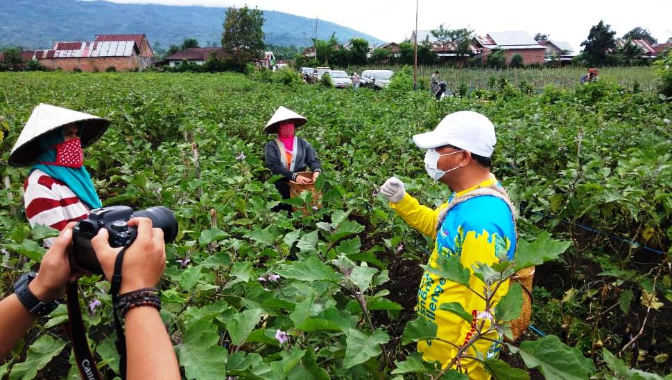 Rangsang Gairah Petani Agar Terus Berproduksi