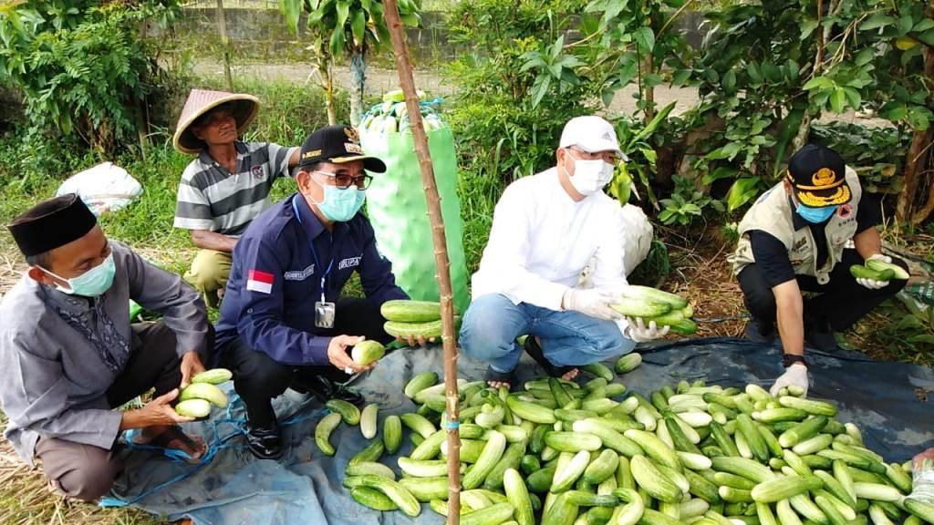 Bantu Petani, Gubernur Rohidin Borong 6,4 Ton Sayuran