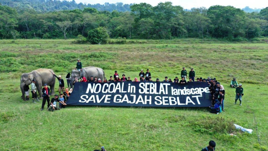 UU Minerba Ancam Habitat Gajah Sumatera di Bengkulu