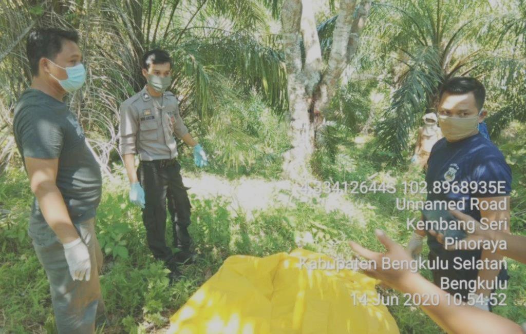 Polisi Bersama Warga Evakuasi Jenazah Warga Pino Raya yang Ditemukan Terjepit Pohon