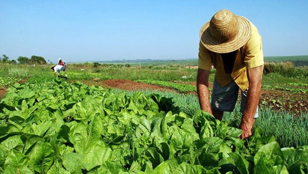 Reforma Agraria, Maksimalkan Manfaat Tanah untuk Rakyat