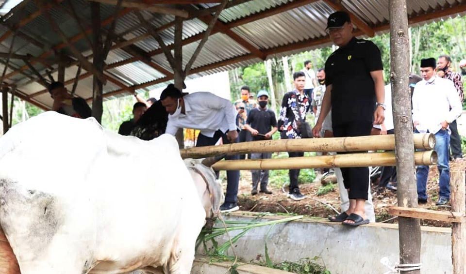 BUMP Terbukti Mampu Memakmurkan Peternak