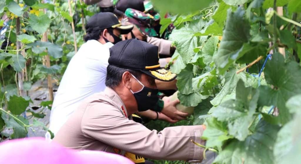 Kapolda Bengkulu Gelar Panen Raya Kampung Tangguh Nusantara