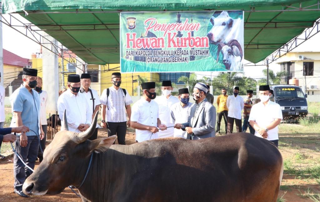 23 Ekor Hewan Kurban Polda Bengkulu Dibagikan ke Masjid, Pesantren Hingga Panti Asuhan