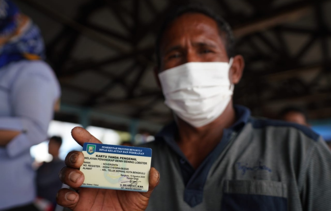 1.118 Kartu Nelayan Penangkap Benih Lobster Dibagikan