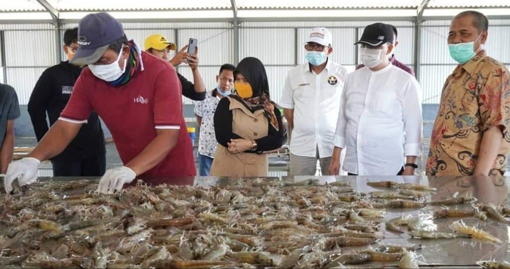 Peluang Investasi, Gubernur Dorong Optimalkan Potensi Pesisir Bengkulu