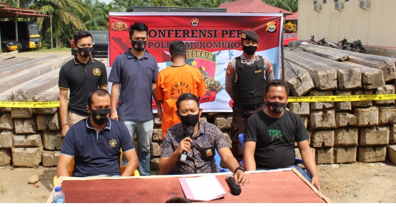 Polres Mukomuko Berhasil Bekuk Pelaku Illegal Logging