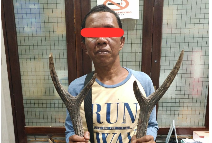 Polda Bengkulu Tangkap Pelaku Perniagaan Satwa Dilindungi