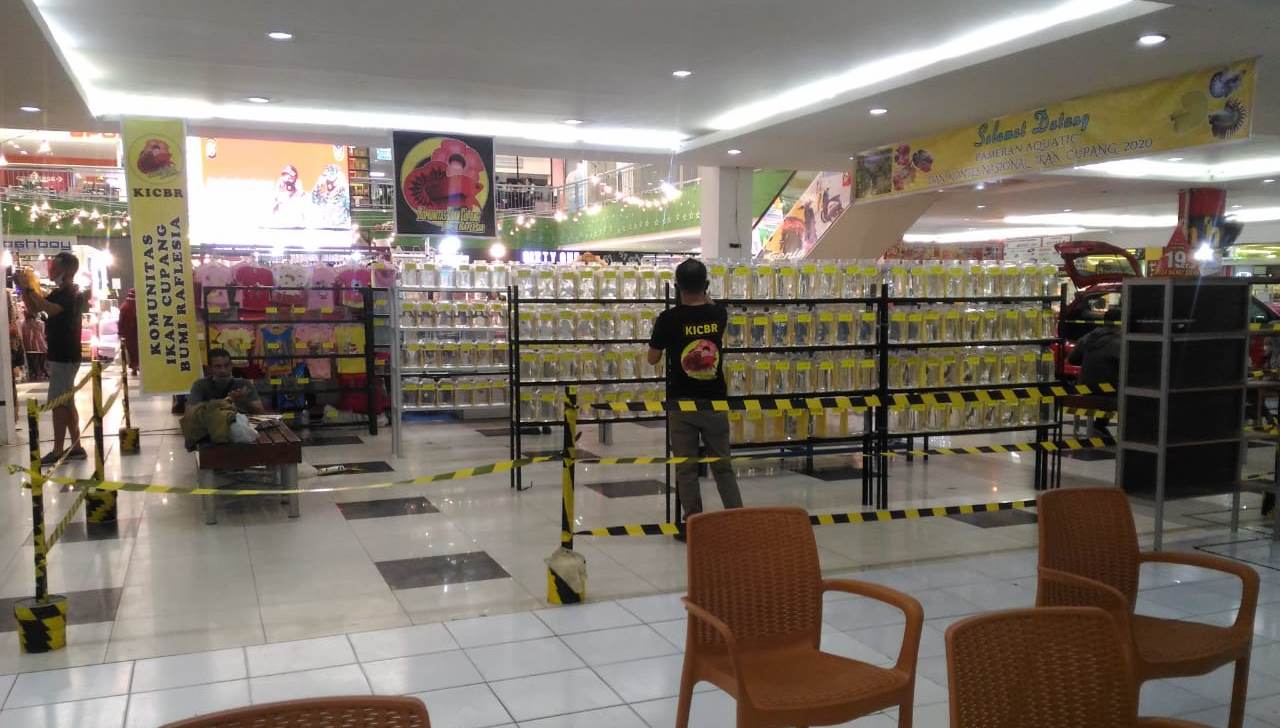 Dipolitisir, Kontes Ikan Cupang dan Aquatic Expo 2020 Tambah Meriah