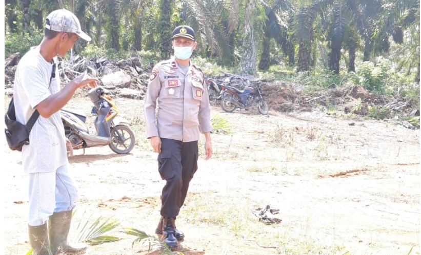 Polisi Selidiki Laporan Pengrusakan Tanaman Sawit Milik PT MMAS