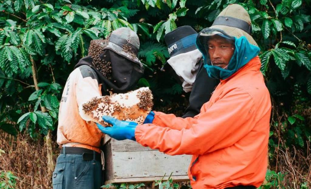 Asosiasi Desa Wisata Bengkulu Dikukuhkan